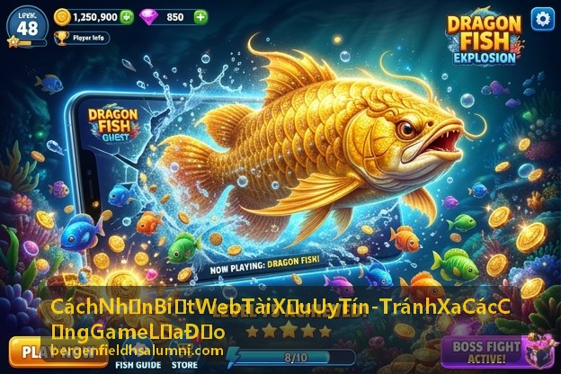 Dấu hiệu nhận biết web tài xỉu uy tín - Tránh xa các cổng game lừa đảo
